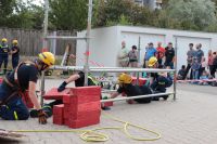 IMG_9817 (Large)